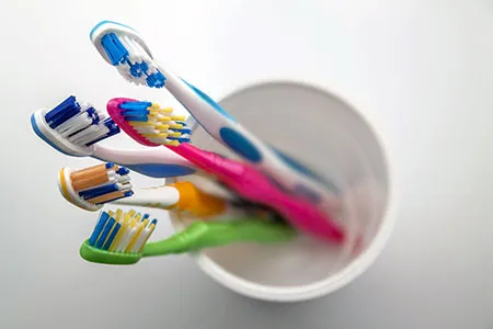 cup with several toothbrushes in it