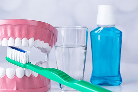 model of teeth, a toothbrush, and mouthwash